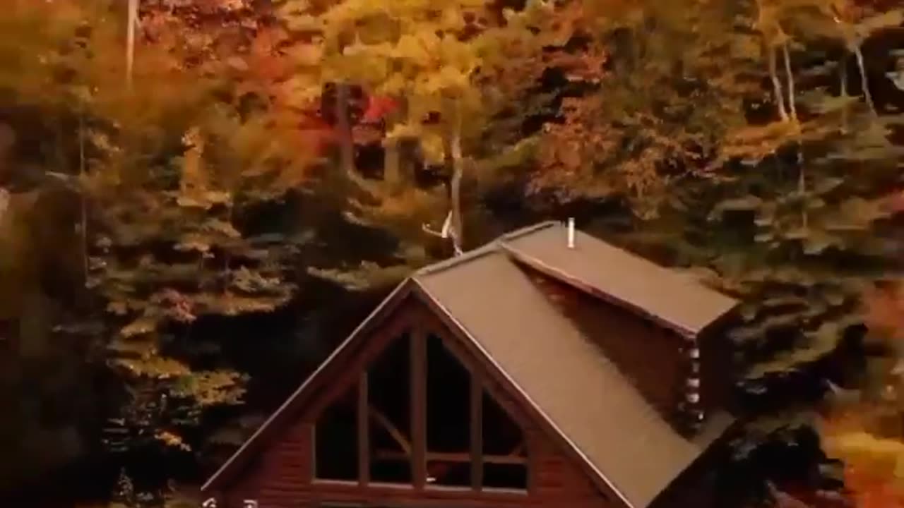 Autumn Leaves🍁🍂