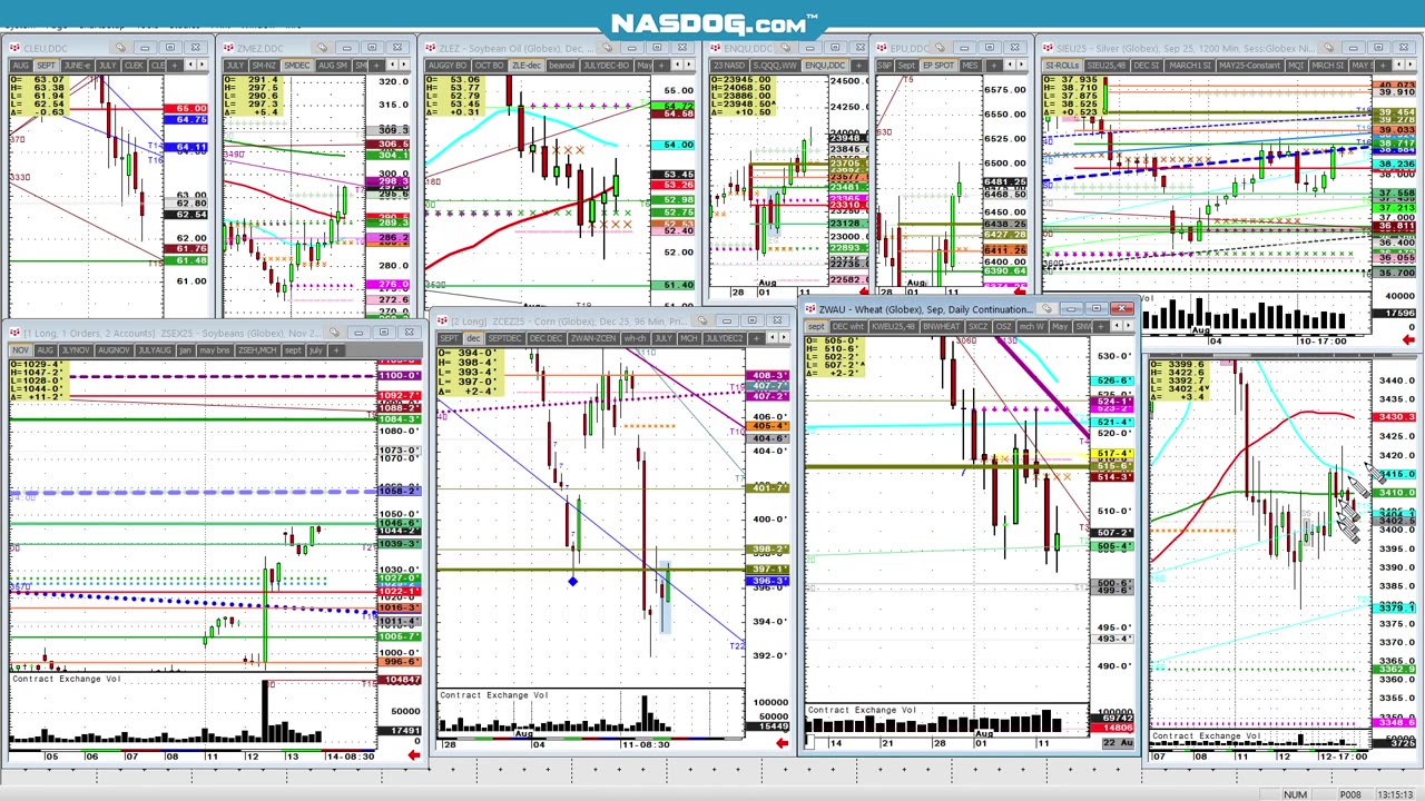 Aug13 Cattle grain closes 6m wrap