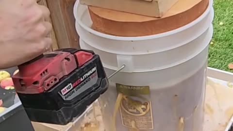 Apple cider pressing with a scissor jack and 3/8ths impact Drill