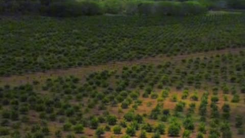 Is this one of the Most Underrated Communities in San Diego County?