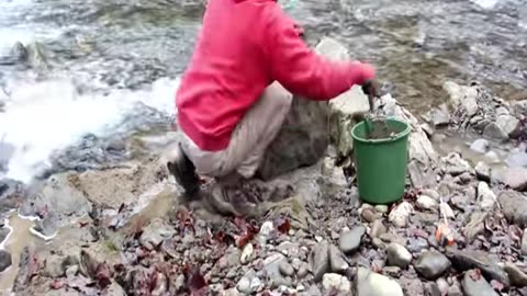 #bushcraft #camping #outdoor #survival #solocamping