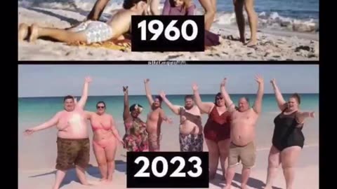 The truth about seed oils.