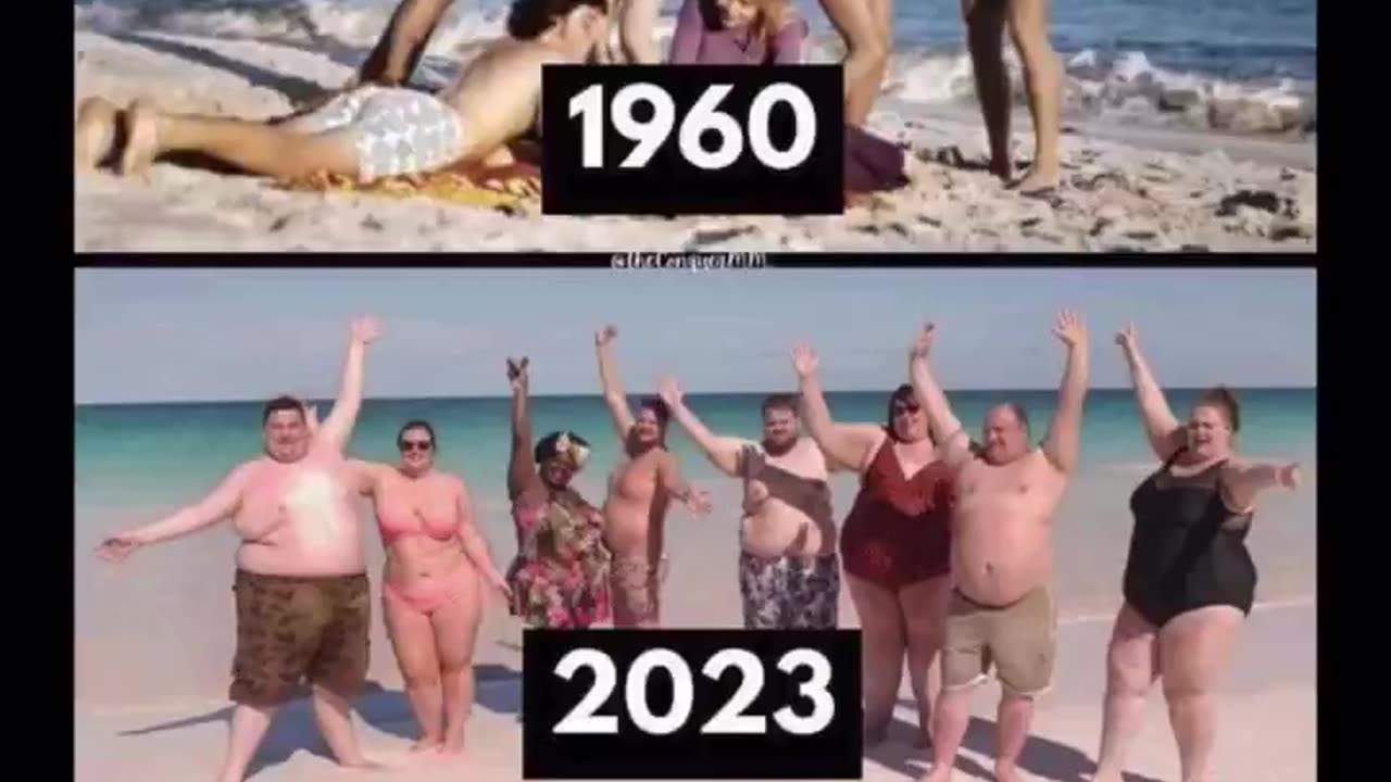 The truth about seed oils.