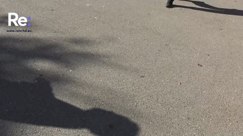 Ученици от район „Илинден“ отбелязаха Деня на народните будители с празнично шествие и водосве