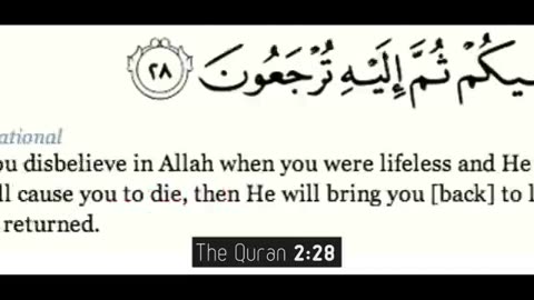 The Meaning of Life | Emotional Muslim Spoken Word | HD