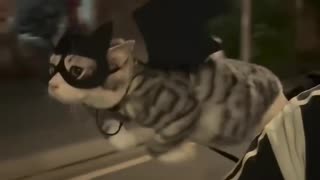 😂🦇 This Cat's Batman Costume is Purrfectly Hilarious! | FunFM