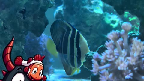 🐟 Secret Tunnel Adventure! 🏔️ #SecretTunnel #AquariumLife #FishJourney #aquarium #fish #reef #tang