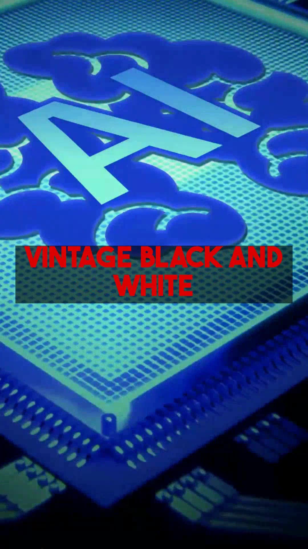 Brown Pelican Colorization Analyzing the Results