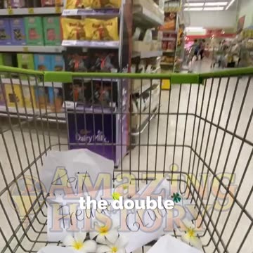 The Shopping Cart Was Invented in 1937? #shoppingcart #history