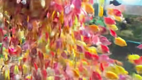 🤩💡 This Tiny Trick Will Make a Huge Difference! | LifeHacksDaily