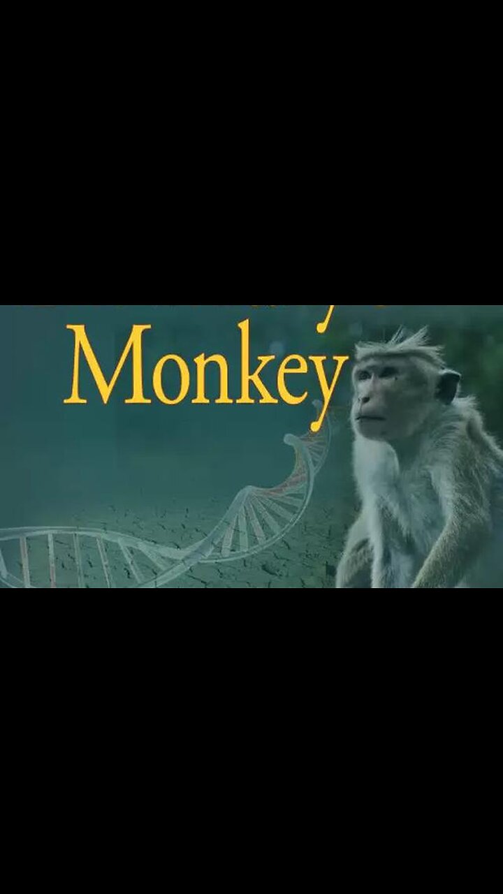 Edward T. Haslam - Dr. Marys Monkey (Audiobook)