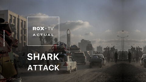 ROX• TV | At least 46 Palestinians have been killed in Israeli attacks on Monday
