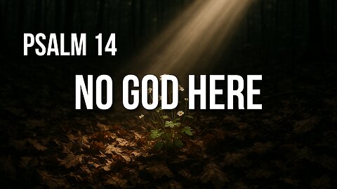 Psalm 14 – A World Without God and the Hope That Remains