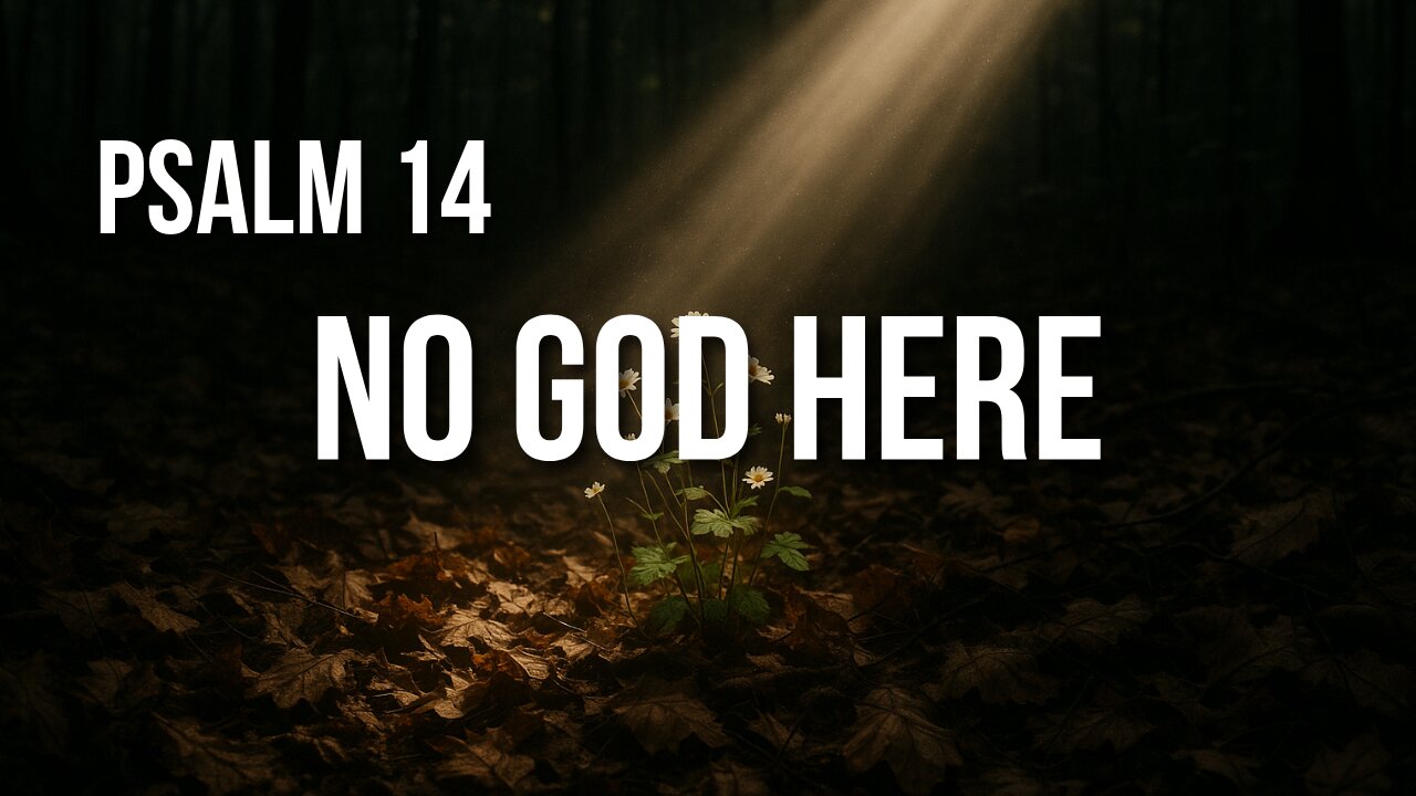 Psalm 14 – A World Without God and the Hope That Remains