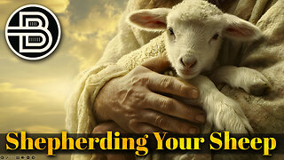 Shepherding Your Sheep
