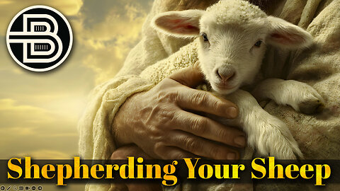 Shepherding Your Sheep