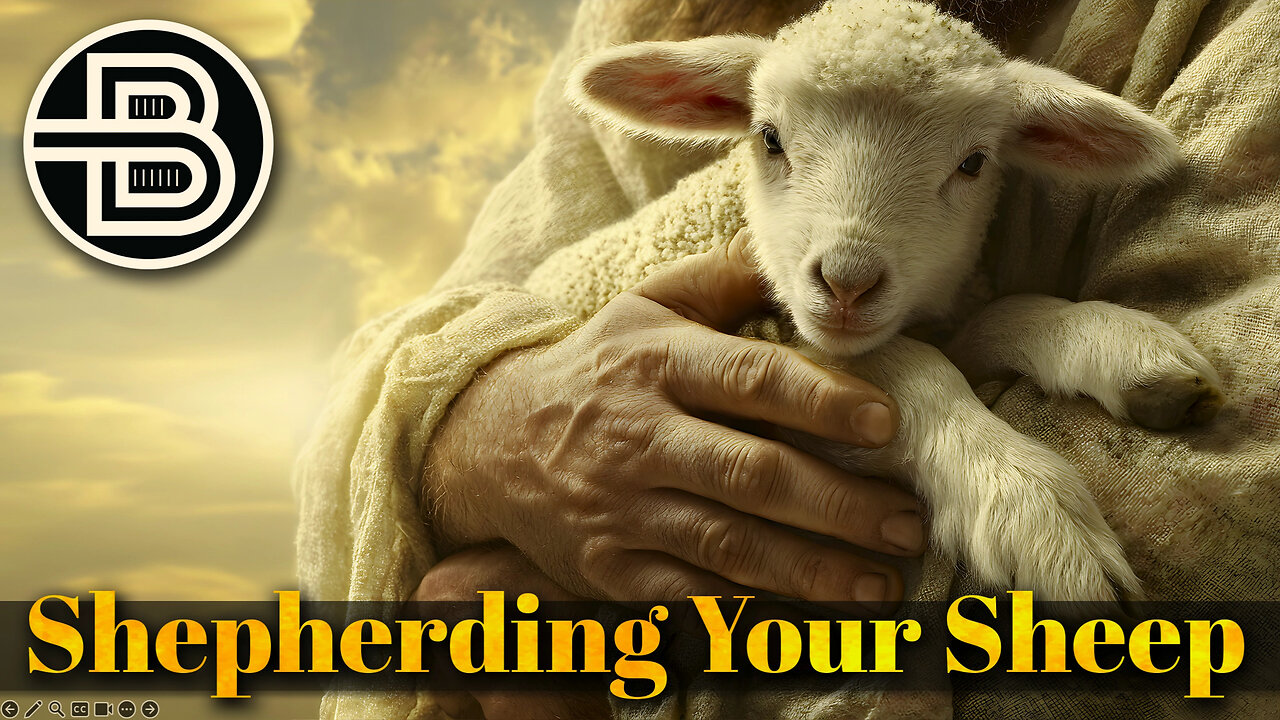 Shepherding Your Sheep