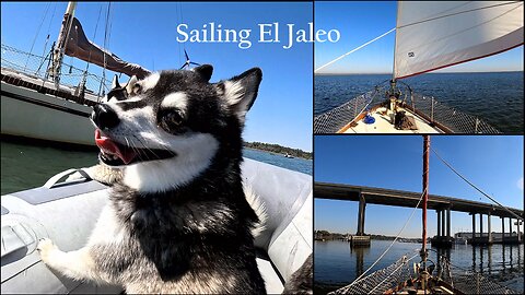 S05E16 - St. Catherines Sound, Hell Gate, and Thunderbolt's Large Sailboats