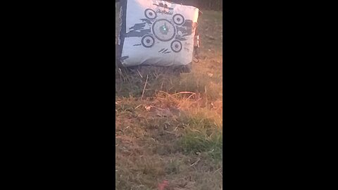 40 yd crossbow shot.