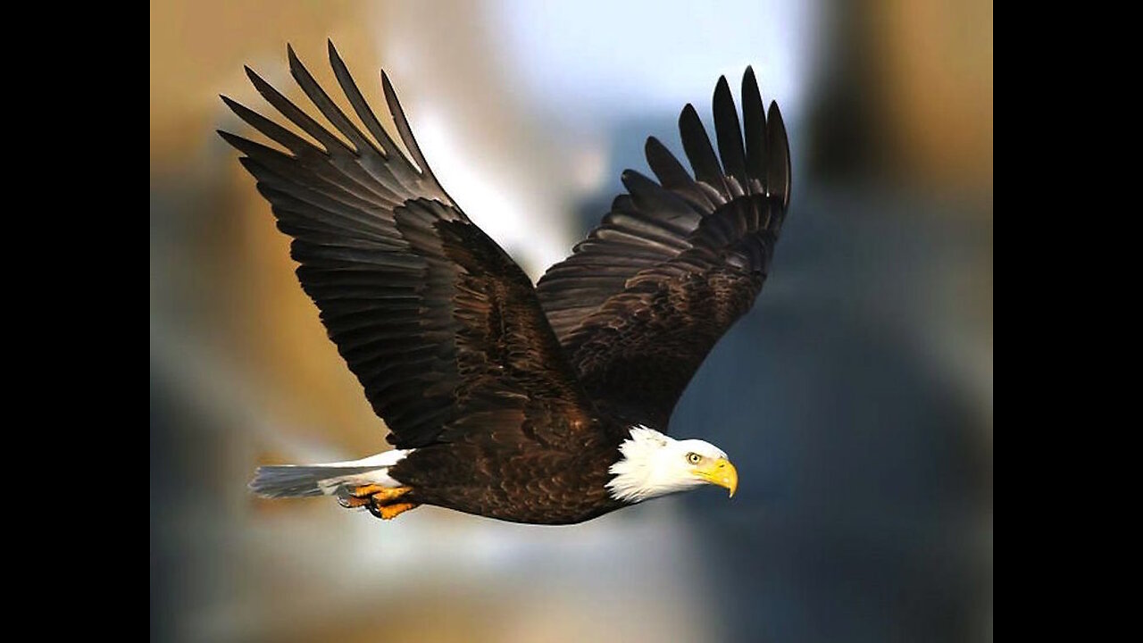 25.07.23 Tom's Take - I Love This Nation