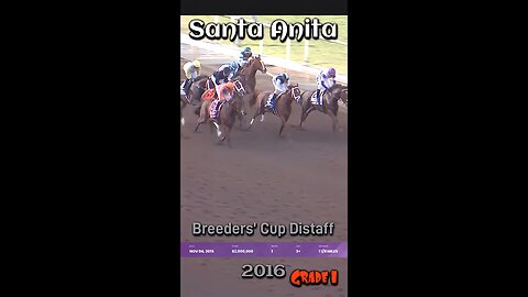 Flashback to Distaff of 2016