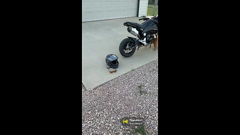 Day 1 With My Honda Grom | The Beginning of Stunts