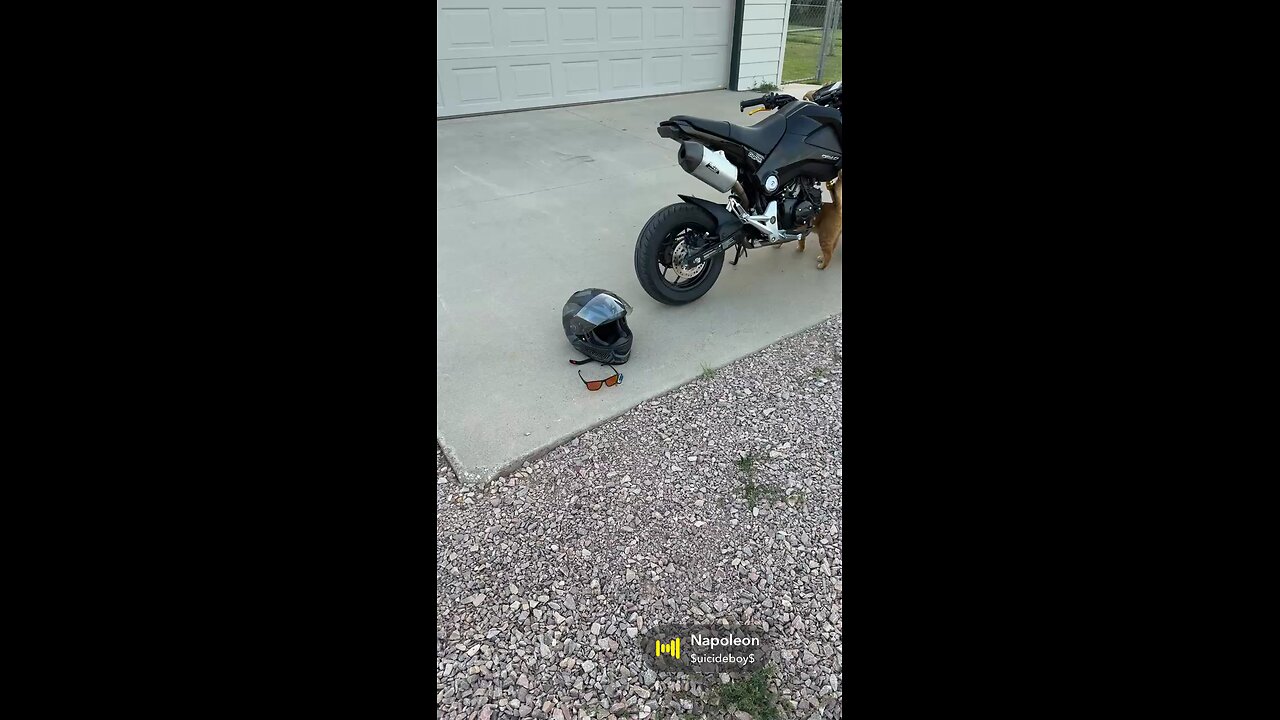 Day 1 With My Honda Grom | The Beginning of Stunts