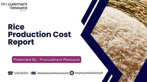 Rice Production Cost Analysis Report