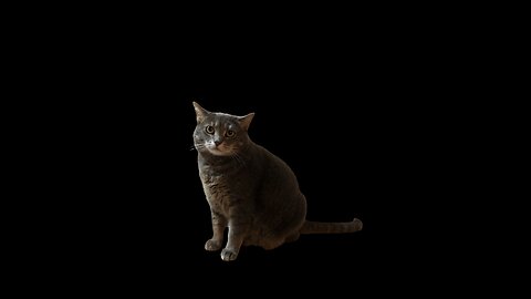 Schedule 1 | Dinner | Chatting