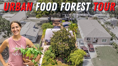 Urban Homestead Garden One Year Later