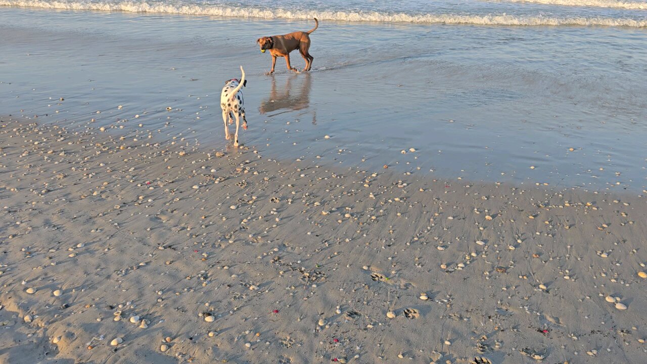 Luna Beach vVideo