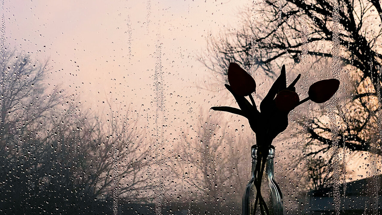 The sound of rain and thunder, the sound of nature
