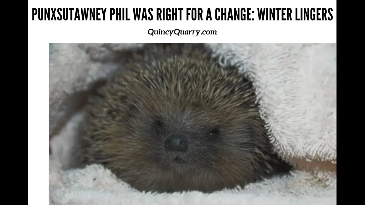 Punxsutawney Phil Was Right for A Change Winter Lingers In New England