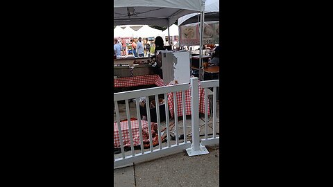 Video 15