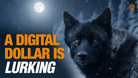 Bitcoiners Are Falling for a CBDC Trap! | Bitcoin Banter