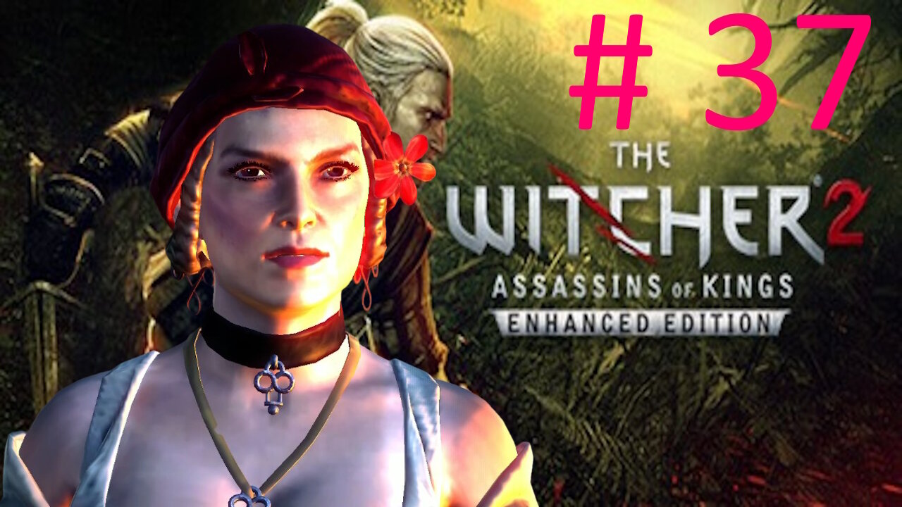 Let's Play Witcher 2 BLIND # 37 * Underground Passage *