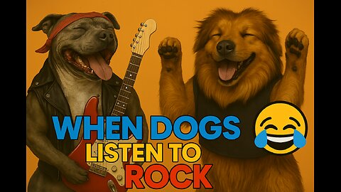when dogs listen to rock🤣