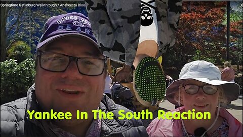 Yankee In The South Reaction - Springtime In The Smokey's - Anakeesta - Gatlinburg - TN - 2025