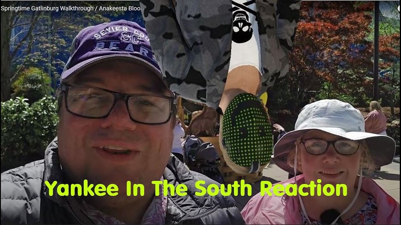 Yankee In The South Reaction - Springtime In The Smokey's - Anakeesta - Gatlinburg - TN - 2025