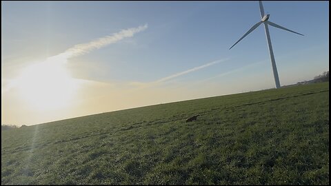 13/12/25 trail run with willow