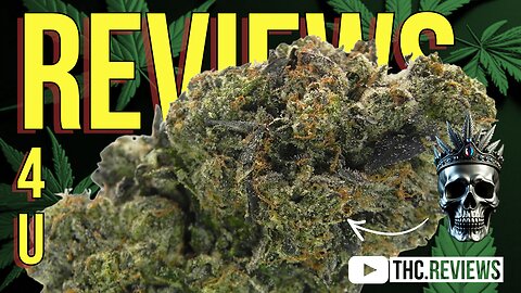 SUPREME DEATH BUBBA 💀 | REVIEWS 4 U