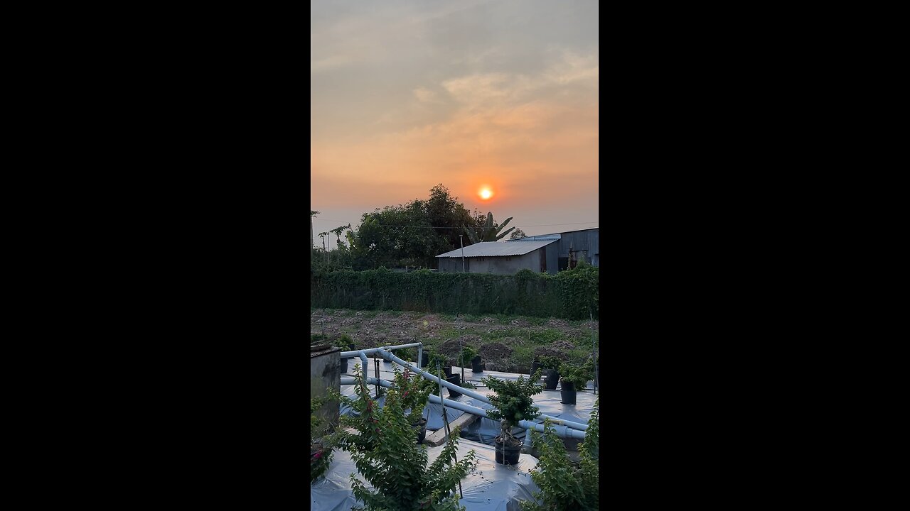 Vietnam is my homeland 🇻🇳