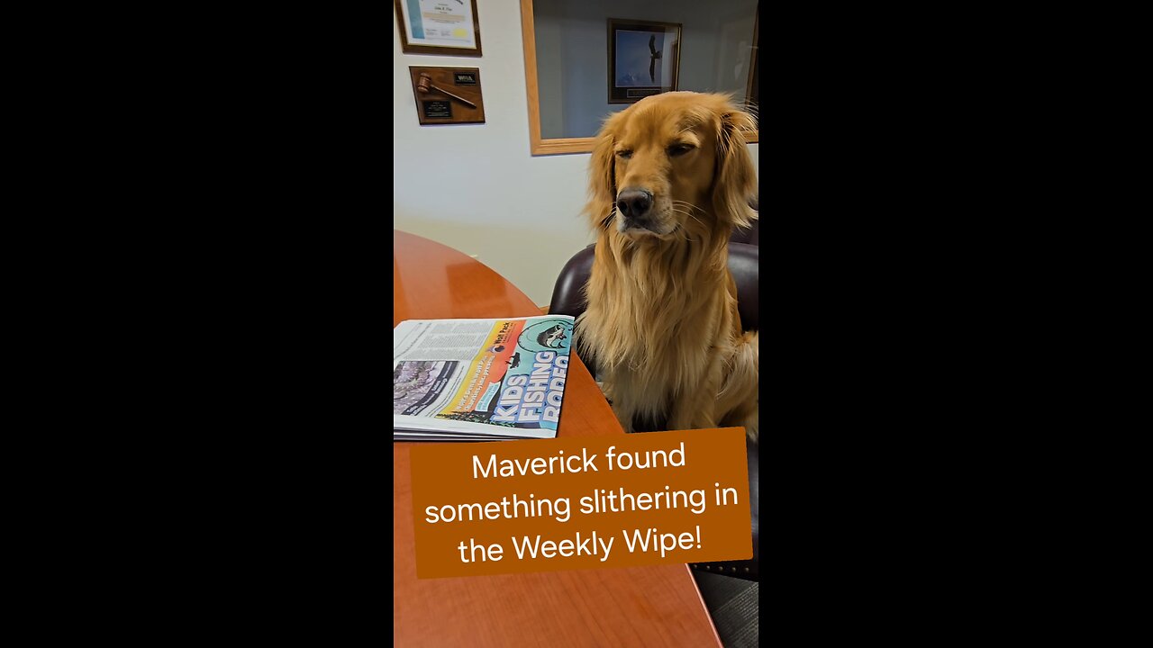 There was something slithering in last week's Chetek Alert!