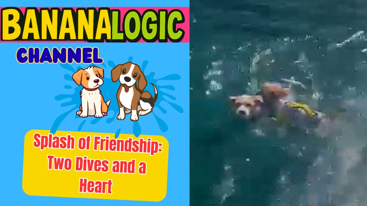 Two adorable dogs