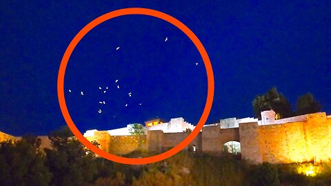 Why Do Birds Circle Above City Lights and Buildings at Night?