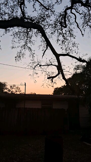 what's really 🤔 going on