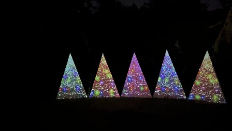 Christmas led lights at the Florida Botanical Gardens November 28 2025