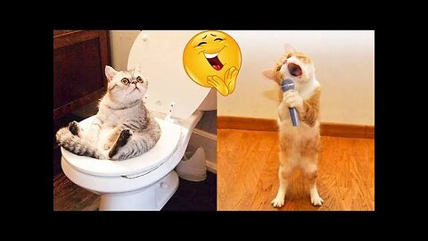 Funny viral Animals