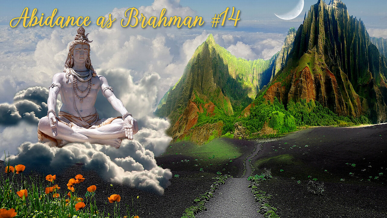 ABIDANCE AS BRAHMAN #14 - Discussions on Advaita with Sacchidananda Acharya & student Subodhananda