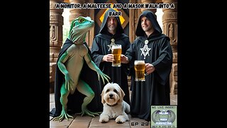 A Monitor, A Maltese and A Mason Walk into a Barr